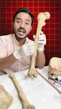Bone Series Part 12(2) 🦴 | One Bone That Saves Marks 🧠🔥 #shorts #mbbs