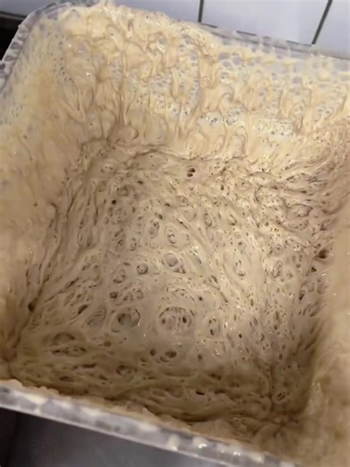 Funny ASMR Moments to Brighten Your Day