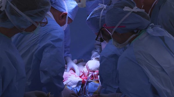 Surgeons Perform First Ever Successful Bladder Transplant