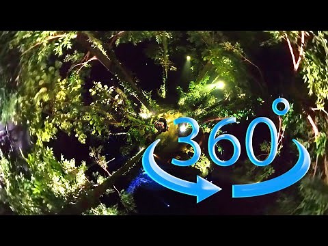 【360度動画】＠EXPO２０２５「住友館」