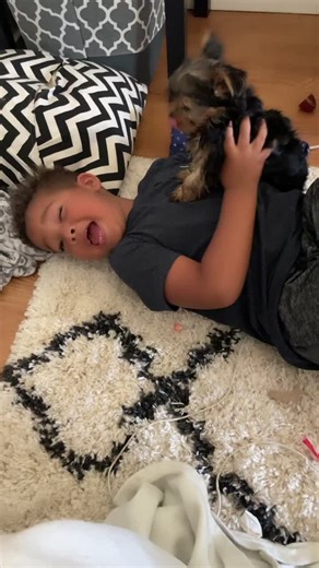 🥺🐶 she secretly hates him🥲 but he loves little miss Phoebe 🥴😅😅 #doglove #puppy #mykids #babyitsthedogforme #fyp #parentsoftiktok #parenting