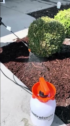 The easiest way to keep decorative rocks locked in place 🔒