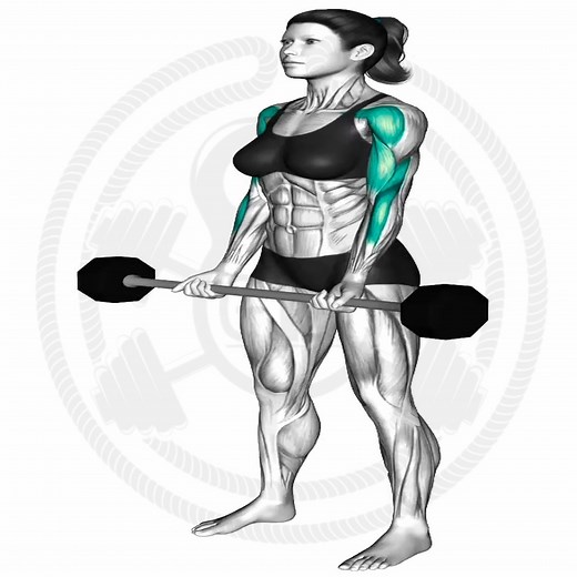 17K views · 635 reactions | Brazos fuertes rutina de bíceps y trícep #fblifestyle | Fitness routines | Facebook