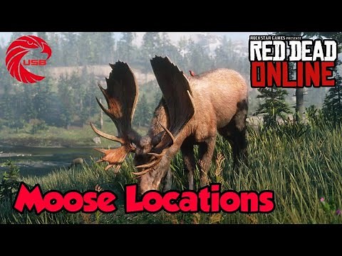 Moose Locations rdr2 Online - Red Dead Online Moose Location Guide