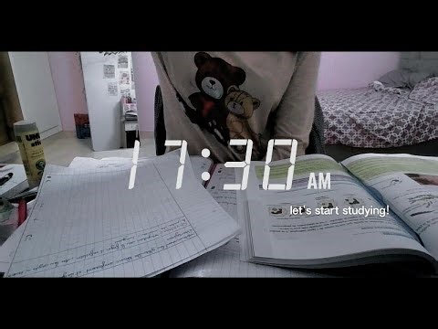 STUDY WITH ME 1hour (real time/no background noise)✧･ﾟ ♡ POV: You are my PC🌿