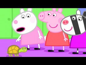 小猪佩奇 第四季 | 精选合集 🐢仓鼠兽医的小乌龟🐢粉红猪小妹|Peppa Pig | 动画
