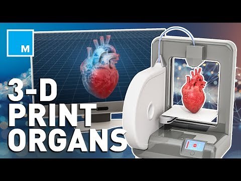 How Scientists Are 3D Bio-Printing Human Organs