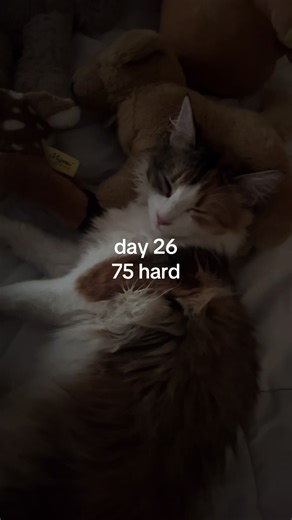 it’s 4 pm, stopping at 933c