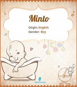 Minto Name Meaning, Origin, History, And Popularity