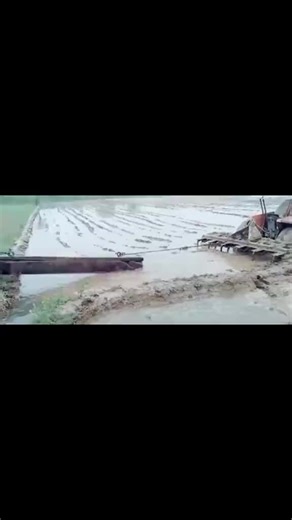 Understanding Video Algorithms on Social Media