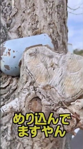 工事現場で起こった 怪奇現象ファイル その1 #怪奇現象