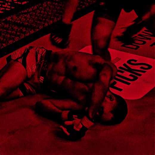 Iliat Topuria vs Max Holloway Highlights