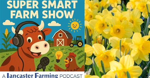 How Do Flowers Know When It’s Time to Grow?