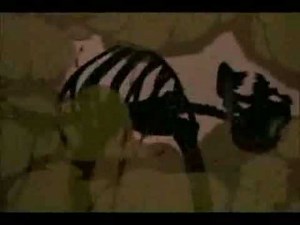 This is Halloween HMV