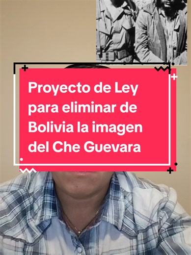 Proyecto de Ley para Eliminar al Che Guevara de Bolivia: ¿Por Qué?