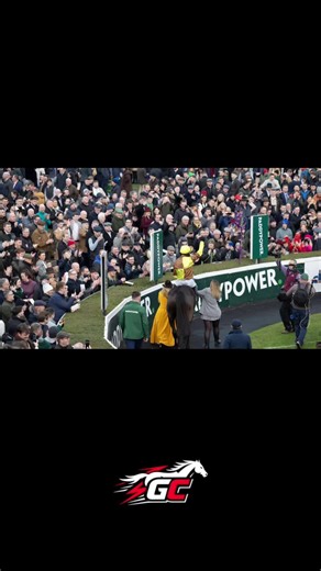 ⚠️ Following 22mm of rain in the last 24 hours (193mm in 14 days), the will be at an inspection at 2:30pm this afternoon for Day One of the Dublin Racing Festival at Leopardstown. 🌧️ The Chase course is currently Soft to Heavy in places, and parts of the Hurdle track are unfit for racing. With the possibility of a further 10-20mm of rain set to fall into tomorrow, let’s hope this great festival gets the green light to go ahead. #DublinRacingFestival #DRF #HorseRacing #Ireland #Rain