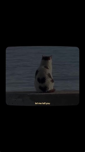 Never stop with your five daily prayers, may Allah