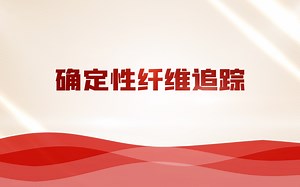 DTI确定性纤维追踪