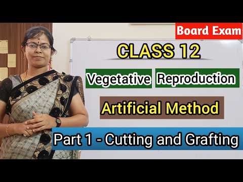Cutting and Grafting - Artificial Method of Vegetative Reproduction| Class 12 Botany Tamil