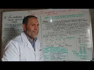 la destination de l'acide pyruvique dans la mitochondrie:video 1