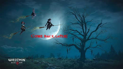 Автор HD Reworked Project, самого популярного мода для The Witcher 3, анонсировал ещё одну версию