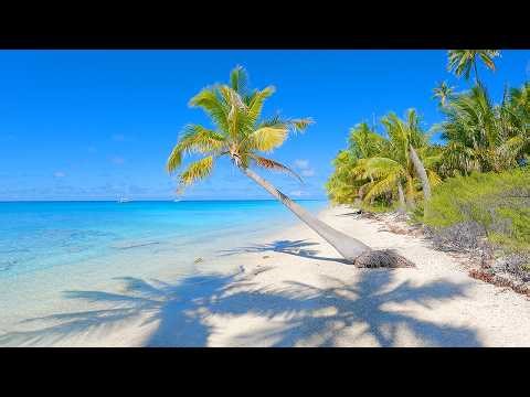 Pristine Beach Paradise: 6 Hours of Natural Waves From French Polynesia