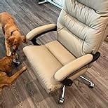 Dual Motor Electric Executive Office Chair with Foot Rest, Comfy Reclining Office Chair with Massage, Big and Tall Heavy Duty Ergonomic Home Office Desk Chairs，Sustainable Leather 400lbs, Black