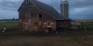 Tea family starts Finny Mini Farm and Sanctuary Petting Zoo