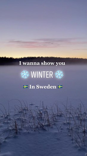 Winter in Sweden: Exploring the Beauty of Swedish Nature in the Snow