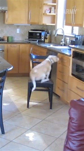 33K views · 205 reactions | Unpredictable fails captured on camera  #cctv #doorbellcam #dashcam #fail #crashout #instantregret | FailArmy | Facebook