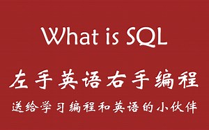 双语字幕学编程-What is SQL