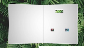 16K views · 404 reactions | #CursoCompleto ¿Quieres ser un experto en Diseño Editorial con Adobe InDesign?  Aprende los conceptos de la comunicación visual, diagramación y estructuración desde cero.  Ingresa aquí por US$10➡ https://goo.gl/9RkAmD | Crehana | Facebook