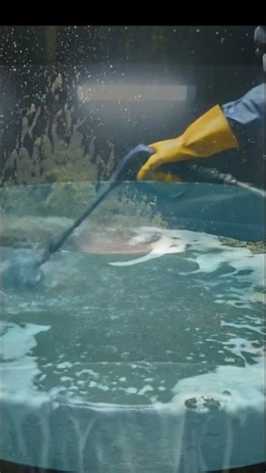 Fast Water Tank Cleaning ⚡ Extremely Dirty Tank to Crystal Clear in Seconds | Satisfying Cleaning