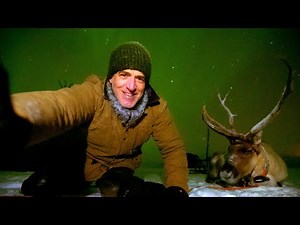 Reindeer Selfies With The Northern Lights! | Reindeer Family and Me | BBC Earth