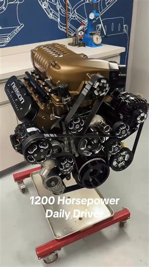 Tom Nelson on Instagram: "1200 HP drop-in crate engine, finished in the color of your choice, with custom cera-coating options or premium base-coat/clear-coat paint. #NelsonRacingEngines"