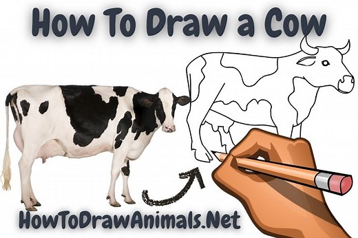 How To Draw a Cow - EASY Drawing Tutorial!