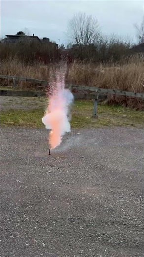 Single shot (Festival) #fireworks #pyro