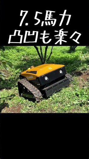 草刈りが楽しすぎる！#草刈り#マダニ対策 #農作業