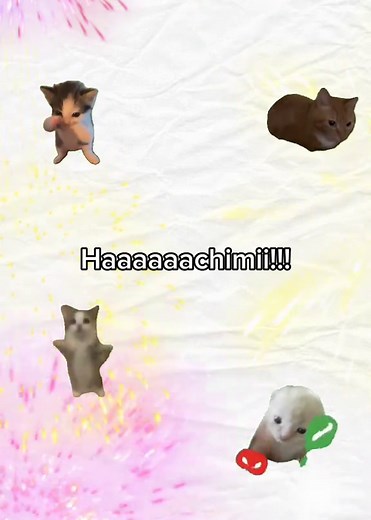 Hachimi Chimichi Mambo Original Lyrics