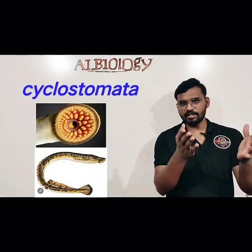 Cyclostomata | Animal classification | viral short | Avinash sir