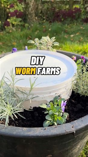 Jamie Walton | Nettles & Petals | DIY Worm Farm - 2 Ways! 🪱🌱 A worm farm is a great way to make your own rich fertiliser and worm cast compost at home, as they are perfect... | Instagram