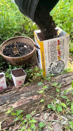 565K views · 10K reactions | Chaos planters! Plant in squash, plant in to go containers, plant in boxes, plant in baskets, plant in everything! #planters #chaosgardening #chaosplanters #gardening | James Weston | Facebook