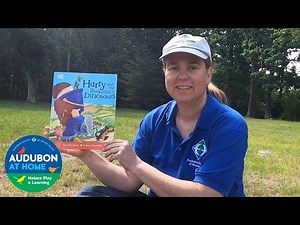 Harry and the Bucketful of Dinosaurs | Virtual Story with Audubon