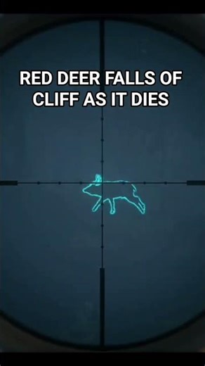red deer falls off cliff as it dies