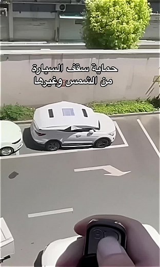 Car Sunroof Shade Protector - Sun Bunky