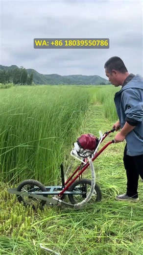 Hand-held lawnmower/stubble cutter. Cuts hay/weeds thoroughly, stubble cutter.