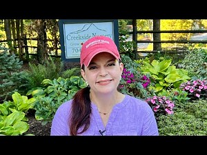 August Shade Garden Tour | Gardening with Creekside