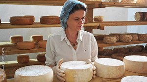 Female cheese maker in formal clothes checking production on country farm. Adult milky farmer working at modern manufacturing. High quality products. Milk cheeses shop. Delivery. Small business. 4K