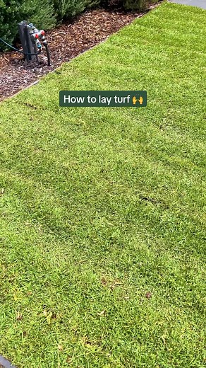 How to Lay Turf: Step-by-Step Guide for Your Lawn