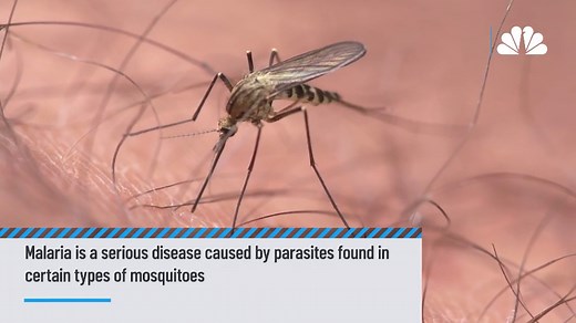 What is malaria and how does it spread?